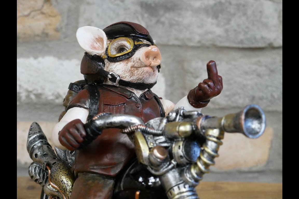 Pig On Motorbike