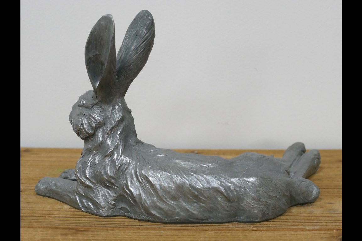 Laying Hare