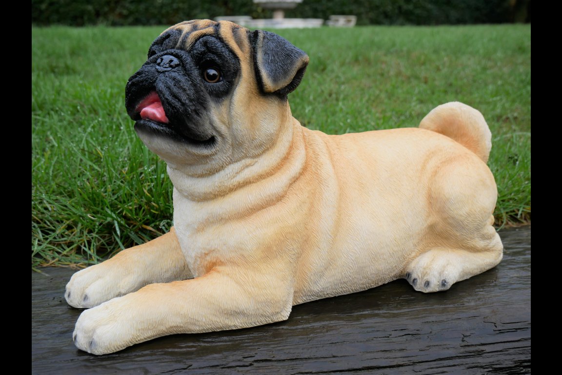 Laying Dog