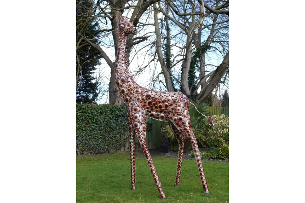 Giraffe Medium