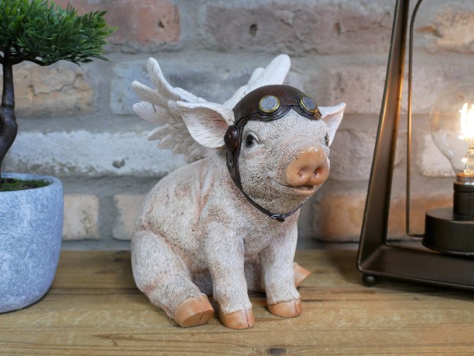 Flying Pig