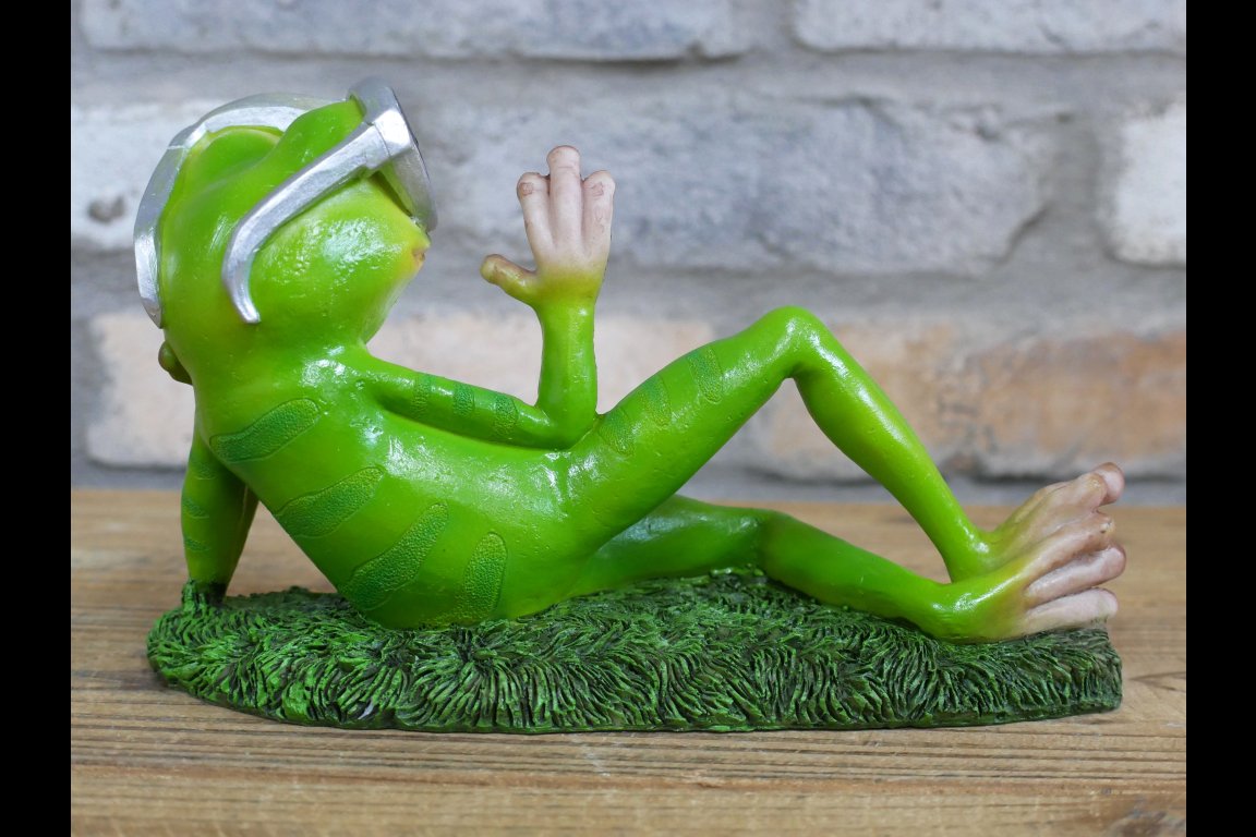Chilling Frog
