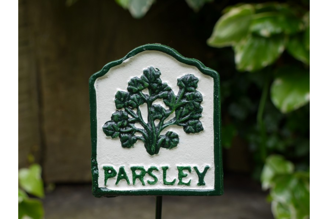 Herb Sign (Parsley)