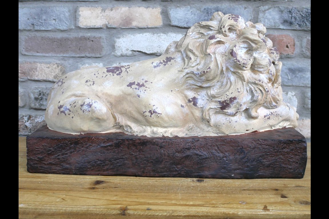Sleeping Lion