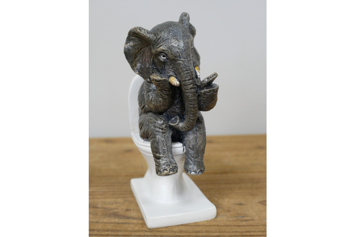 Elephant On The Loo