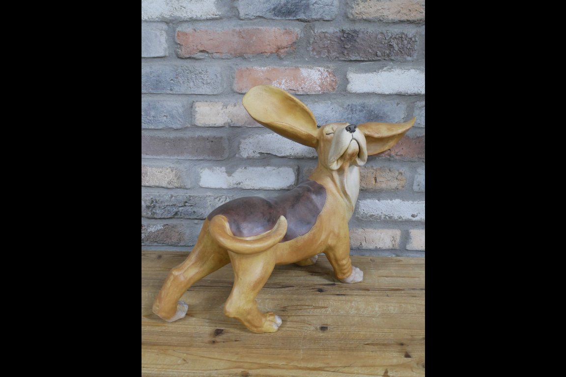 Big Ears Dog
