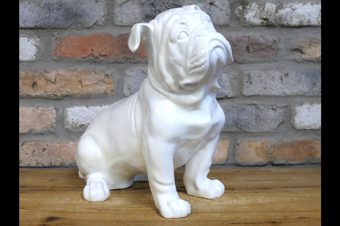 White Bulldog