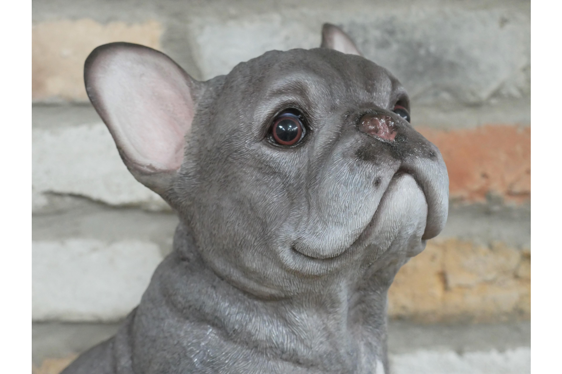 Sitting Dog (Frenchie)