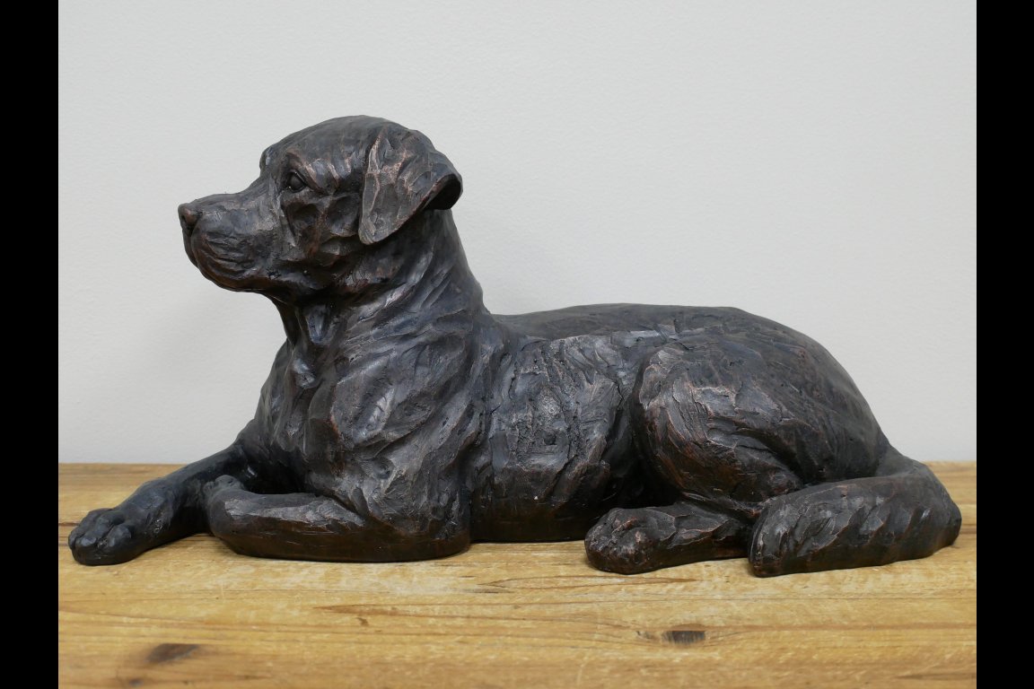 Laying Dog