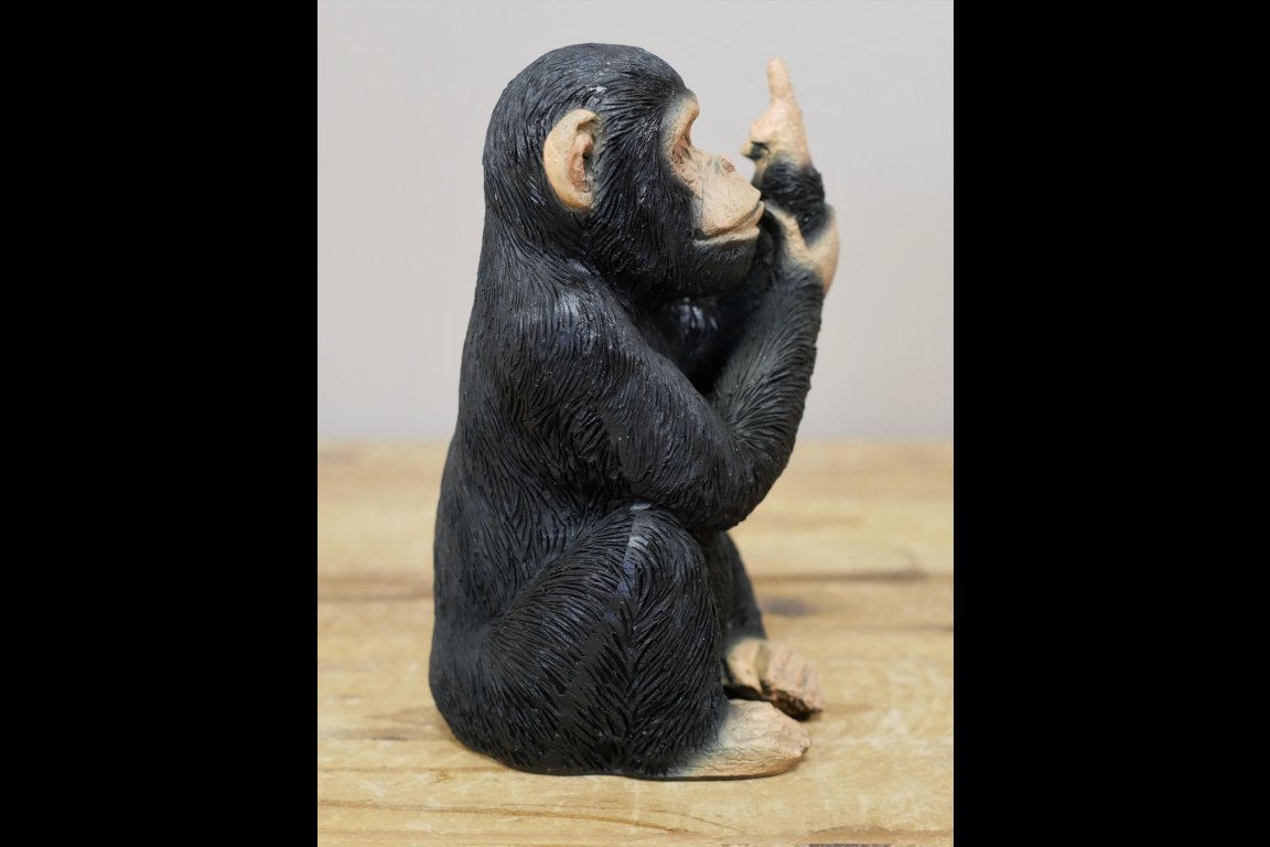 Up Yours Monkey - Small