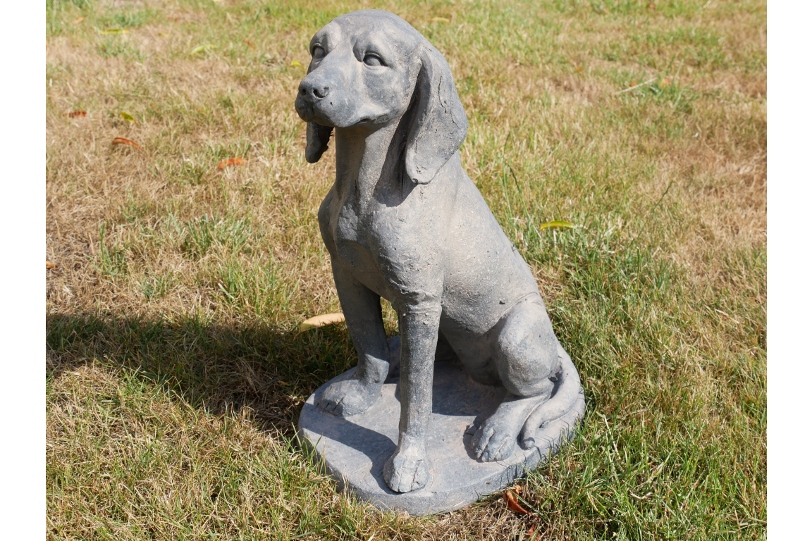 Sitting Dog