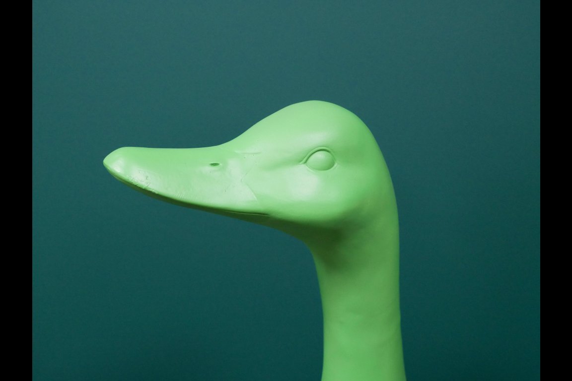 Big Duck - Green