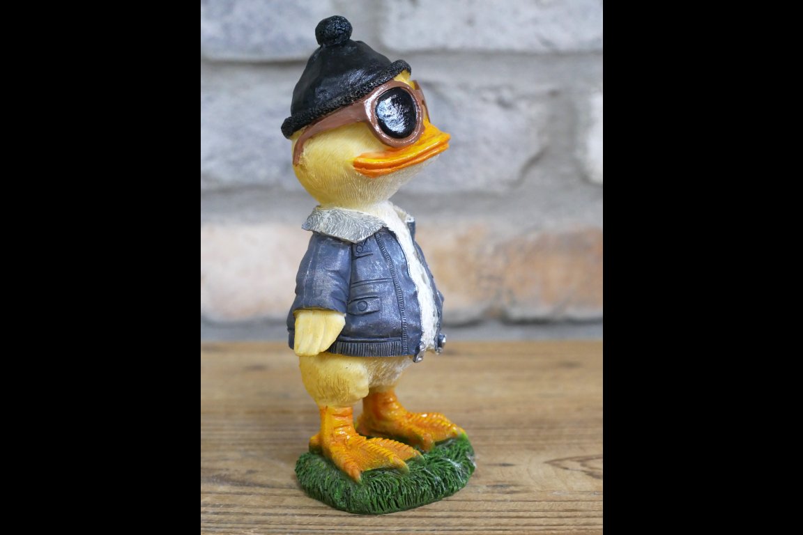 Cool Duck