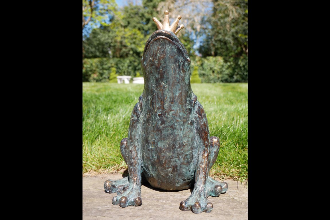 Frog Prince