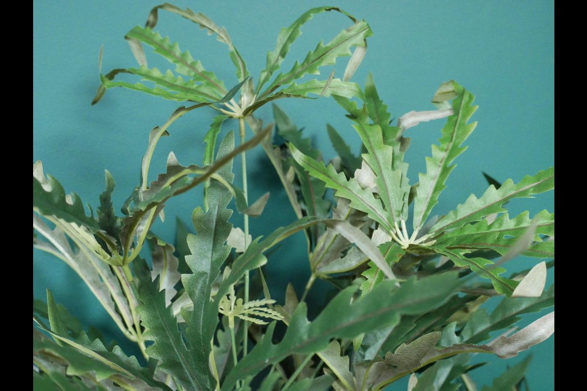 Artificial False Aralia