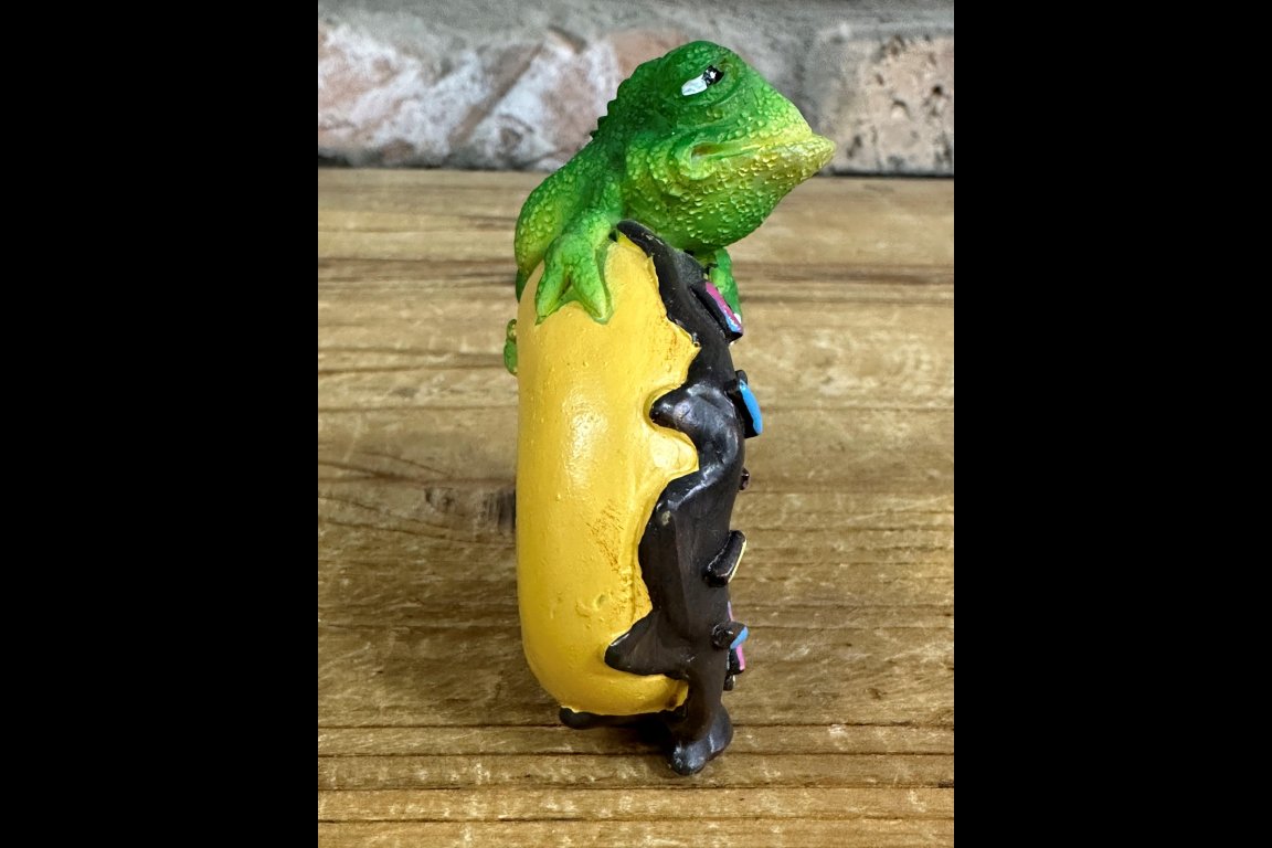 Lizard On A Doughnut