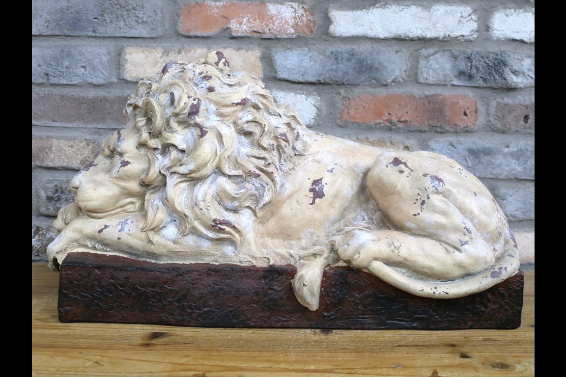 Sleeping Lion
