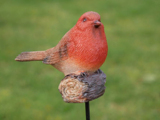 Robin On Stake