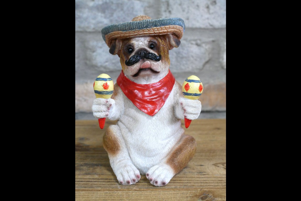 Mexican Bulldog