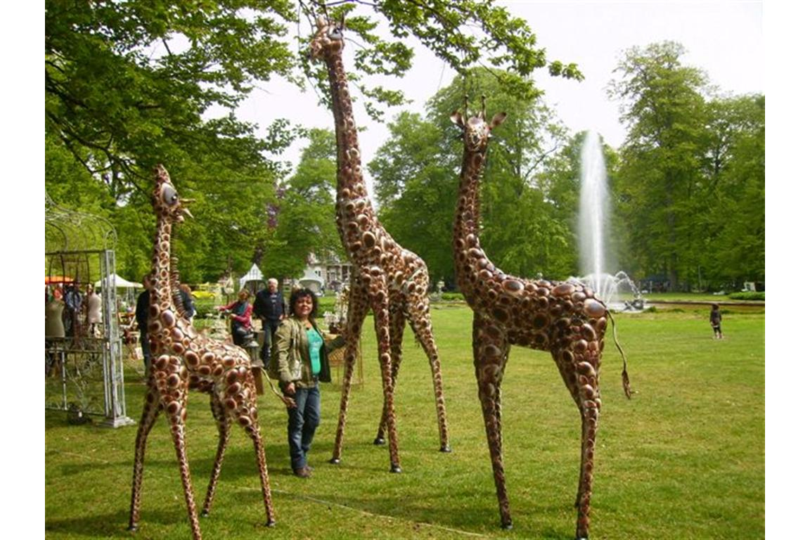 Giraffe Medium