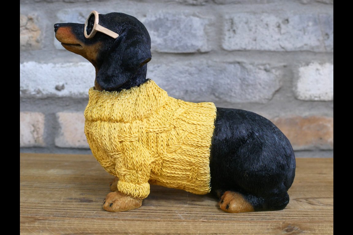 Dachshund Dog In Sweater