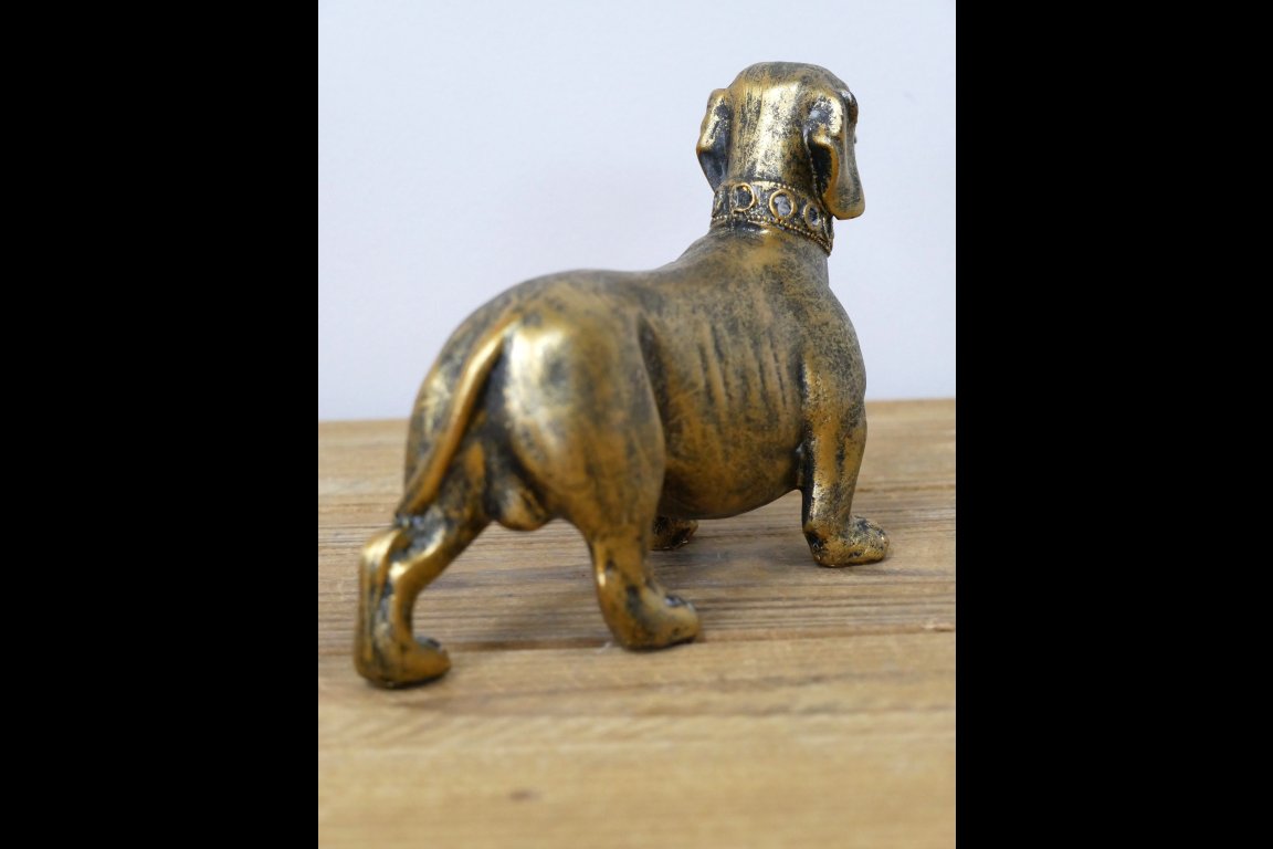 Sausage Dog