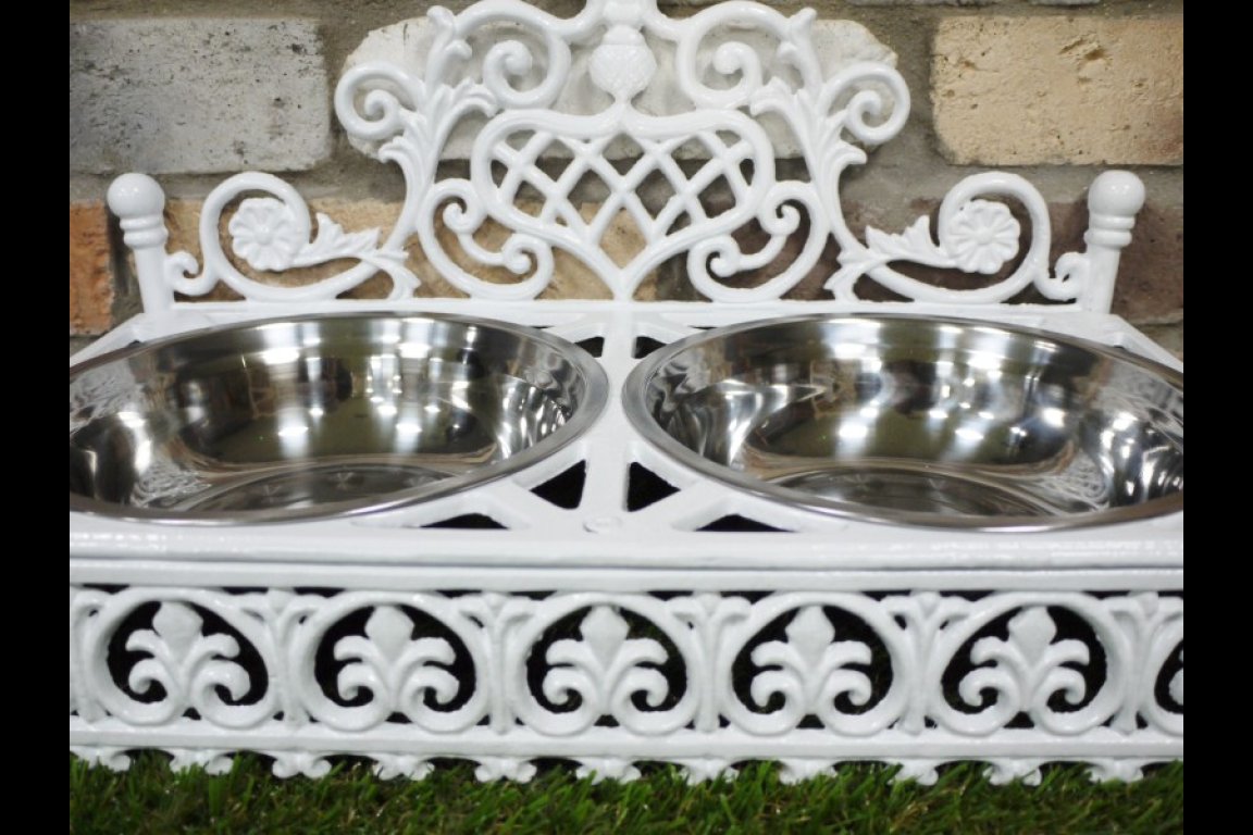 Dog Dish