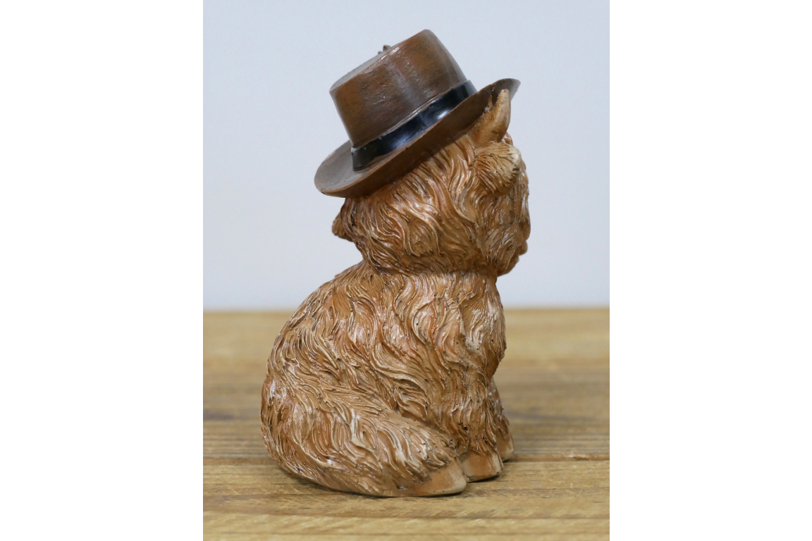 Highland Cow With A Hat