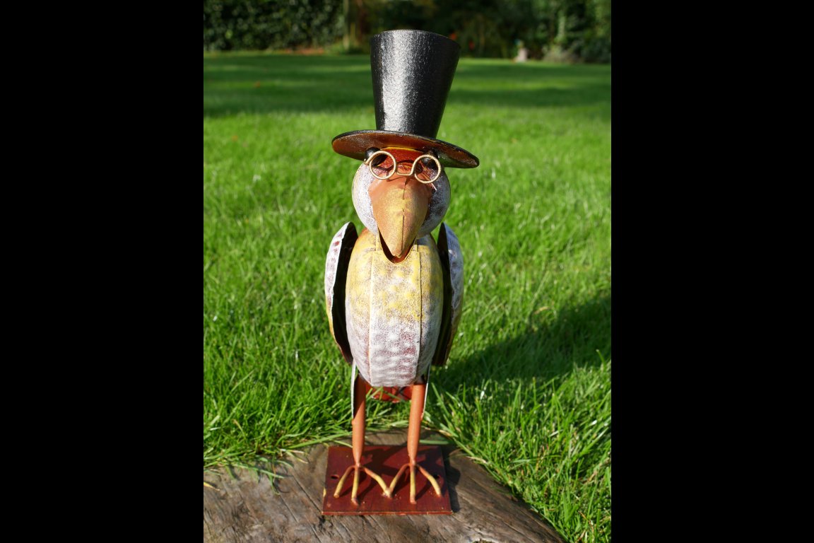 Bird In Top Hat