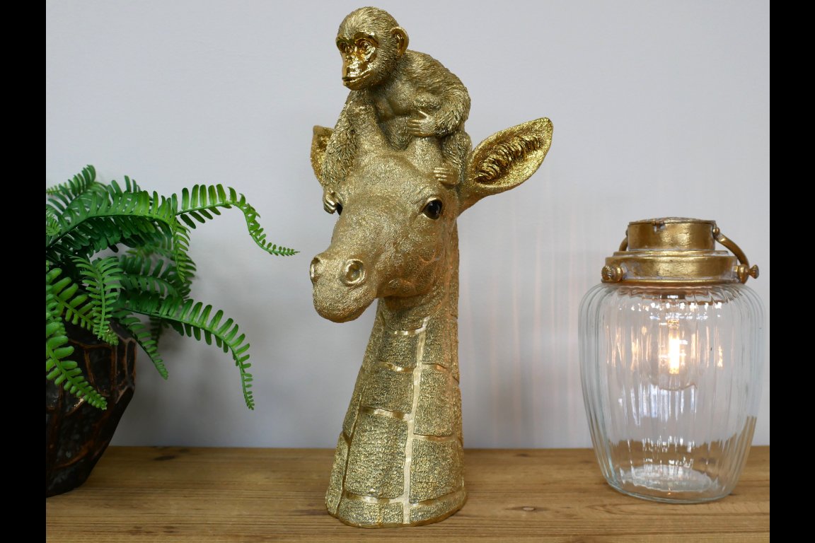Giraffe & Monkey