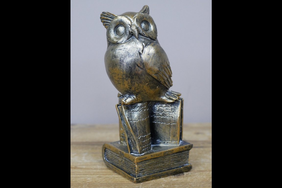 Owl Stood On Books