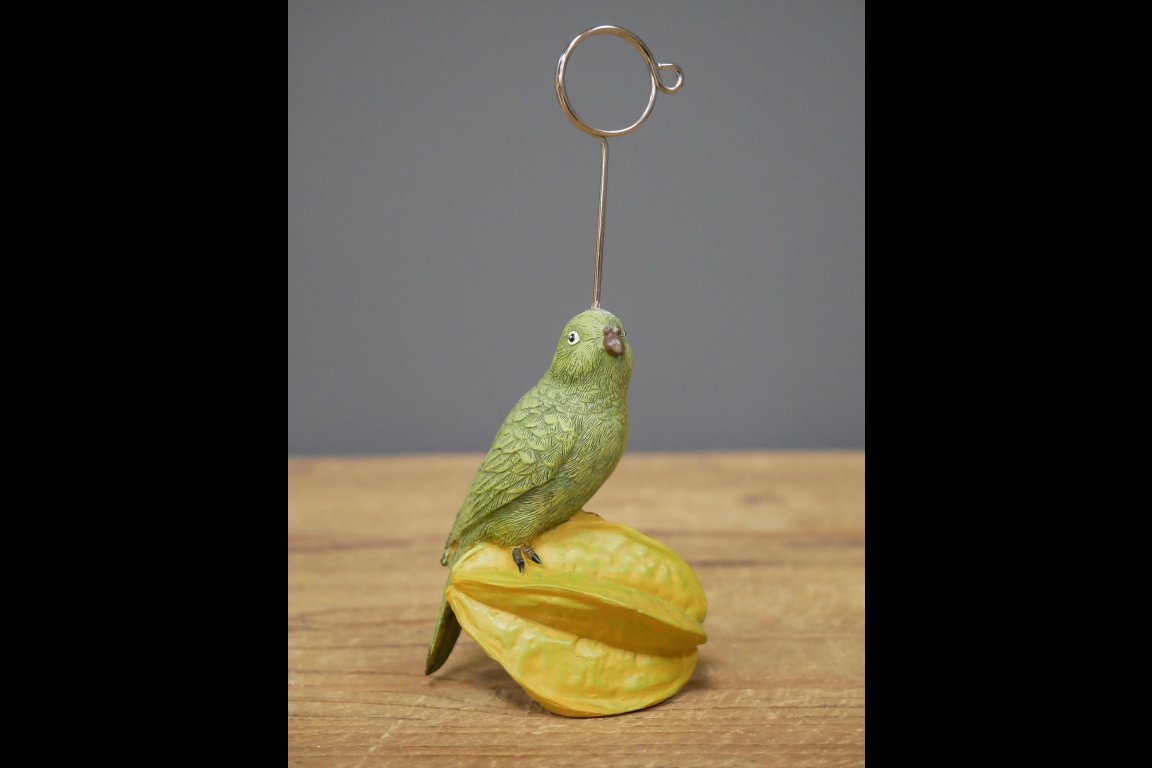 Parrot Place Card Holders