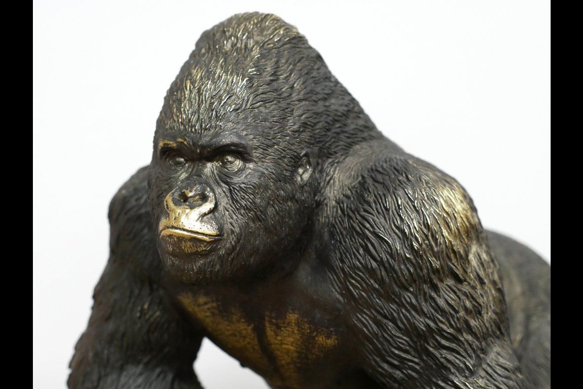 Gorilla