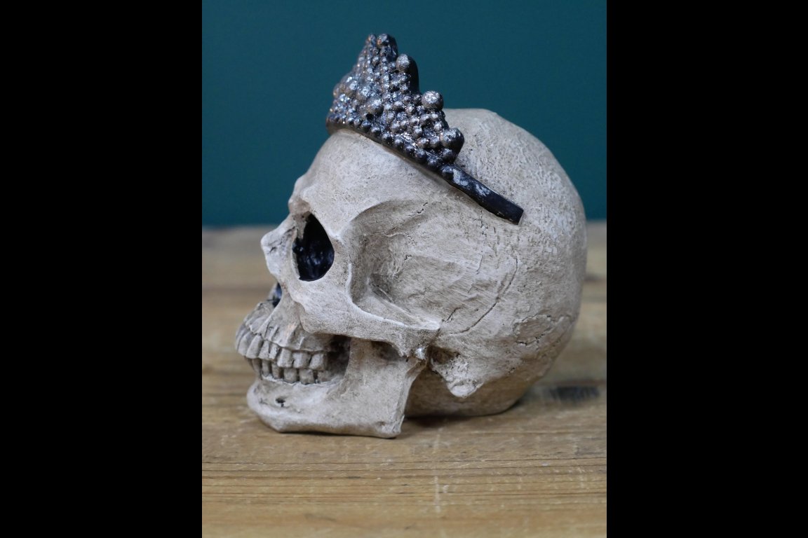 Skull Decoration
