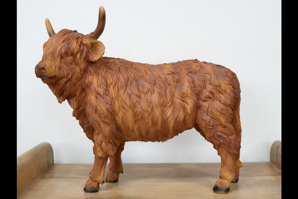 Cow