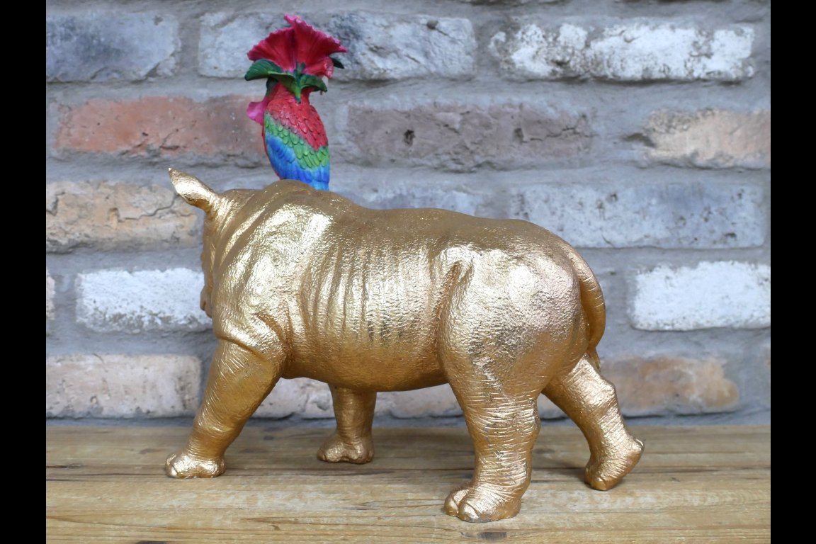 Rhino & Parrot