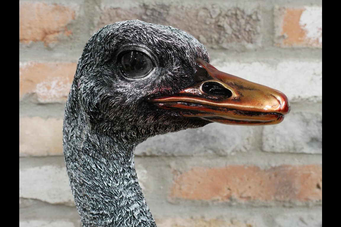 Emu Bust