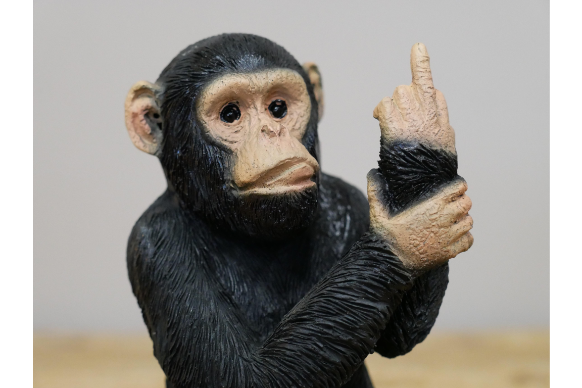 Up Yours Monkey - Small
