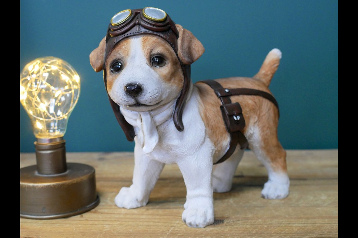 Pilot Dog