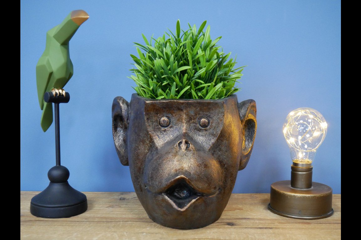 Monkey Head Planter