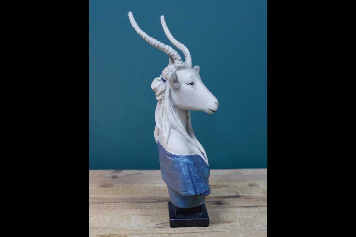 Antelope Bust