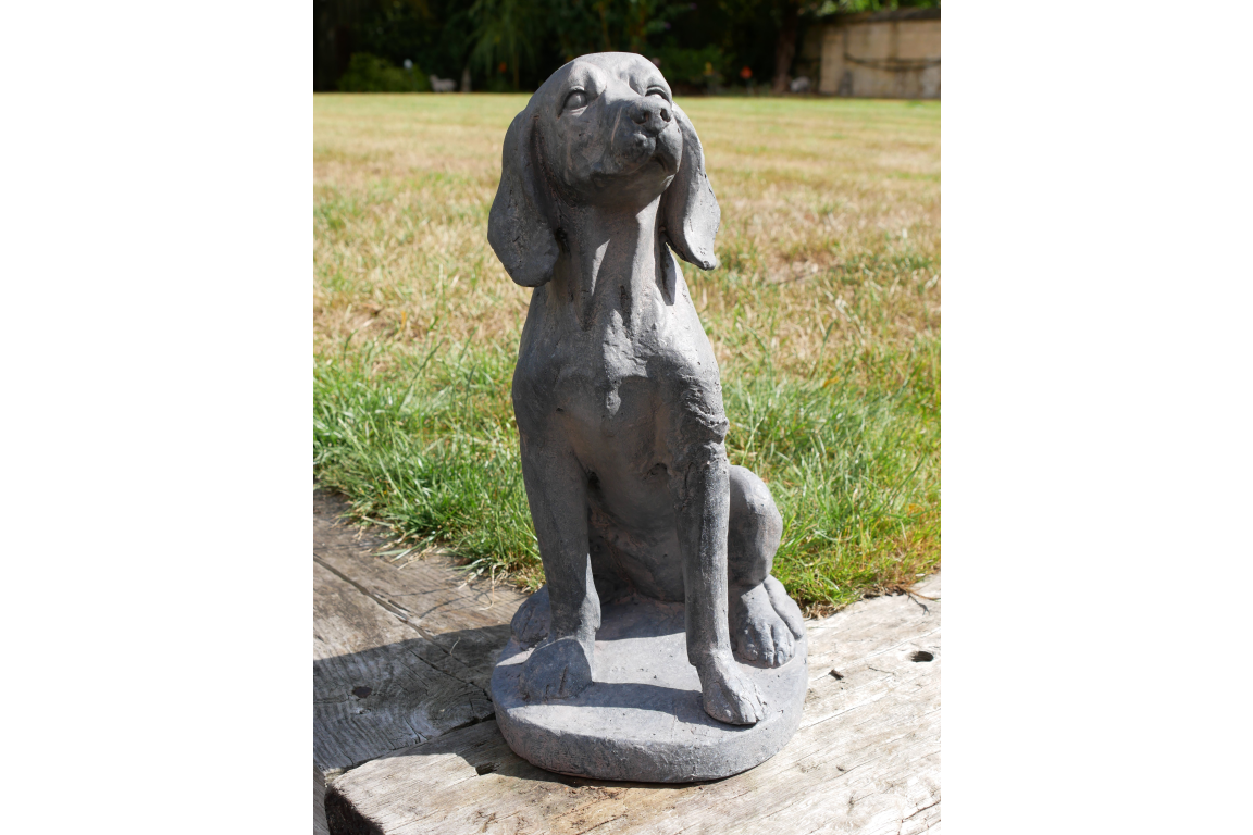 Sitting Dog