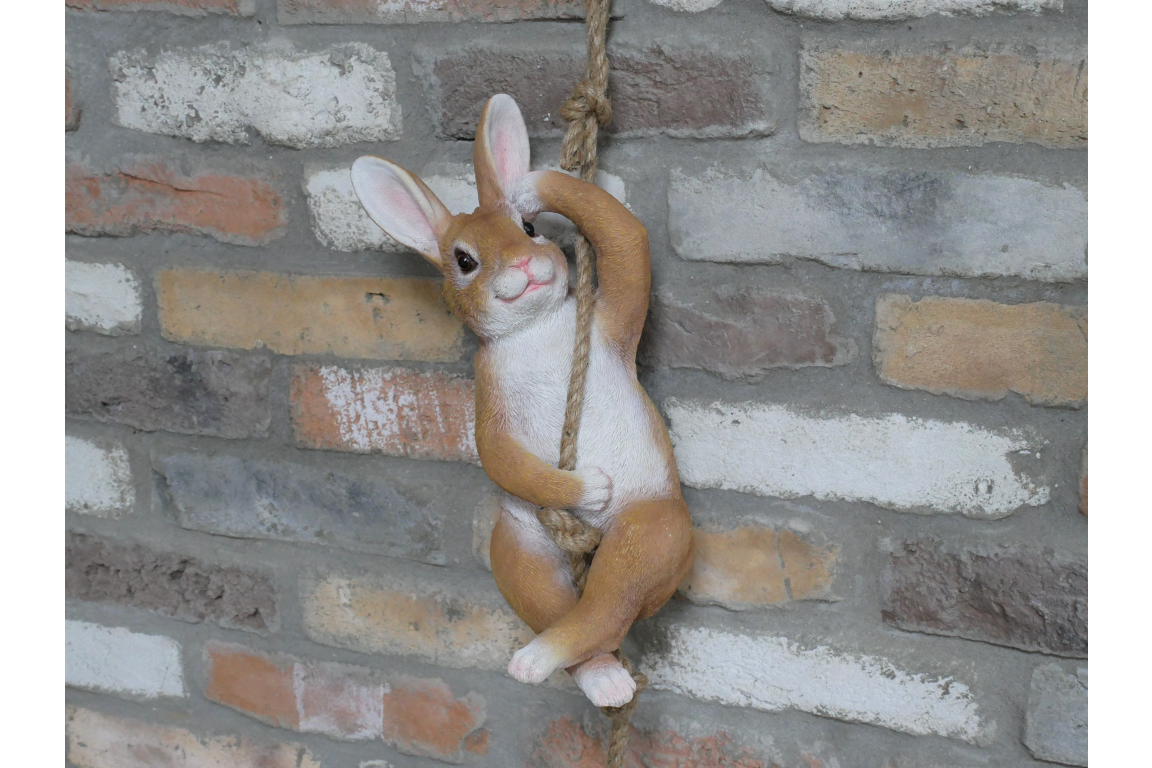 Hanging Rabbit