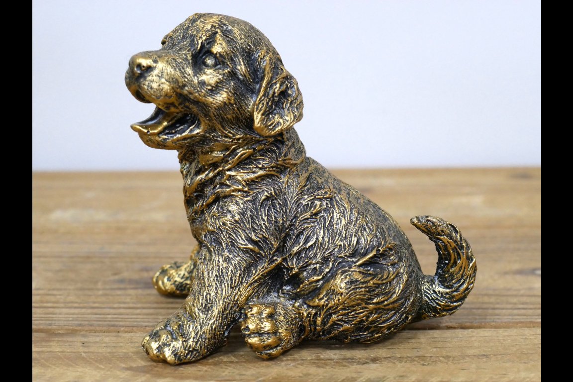 Puppy