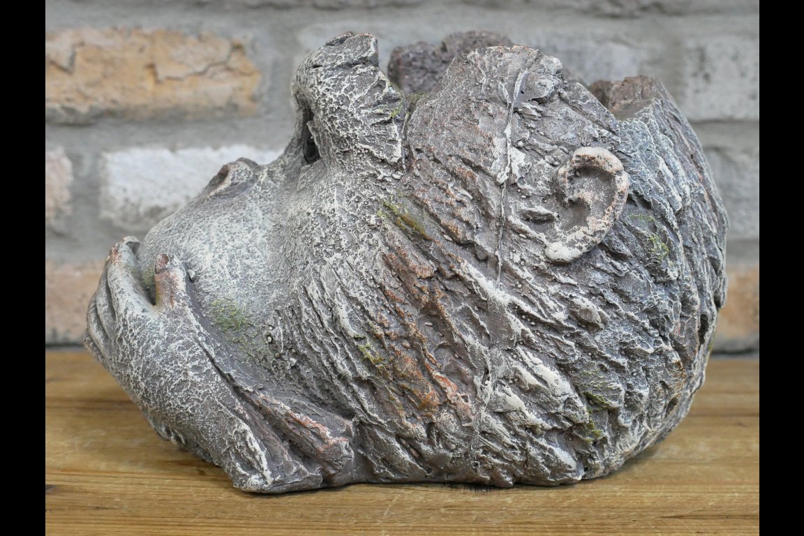 Monkey Head Planter