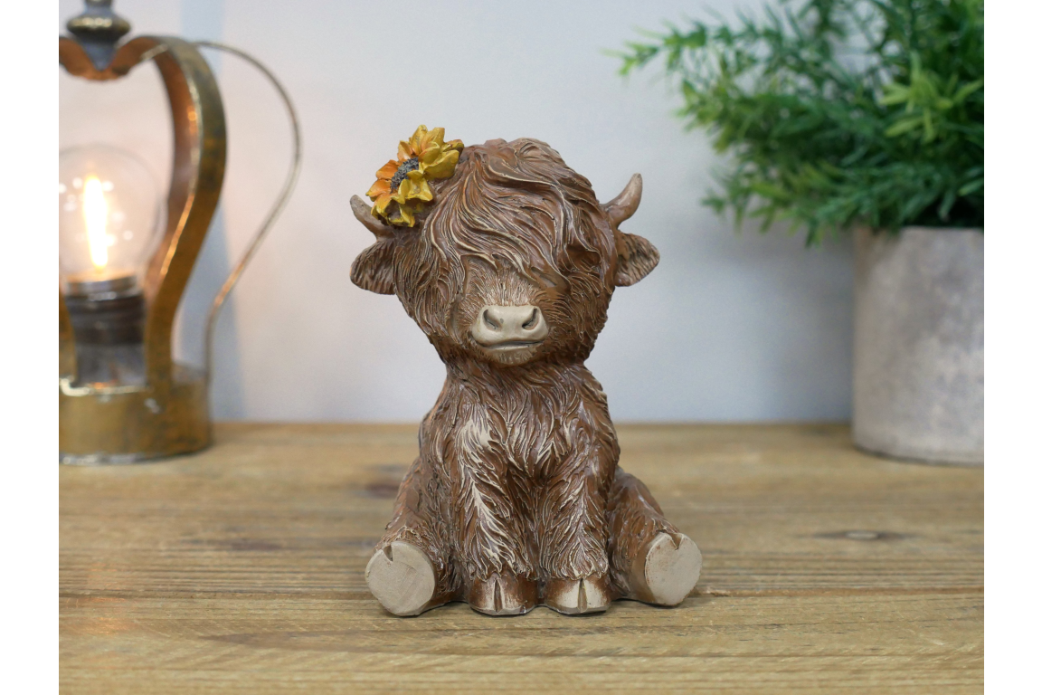Sitting Highland Cow