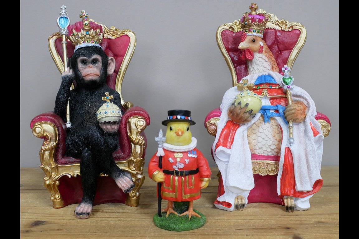 King & Queen Chick Guard