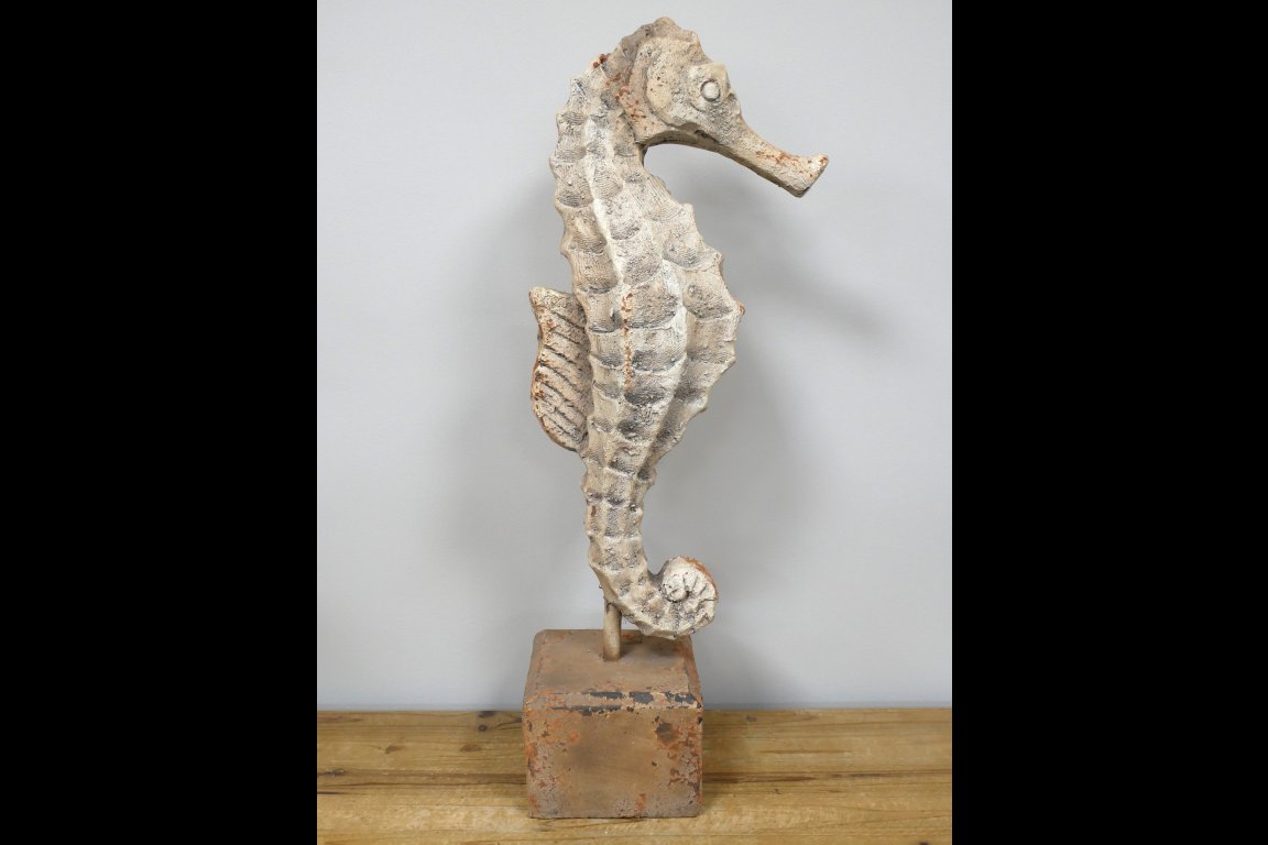 Seahorse