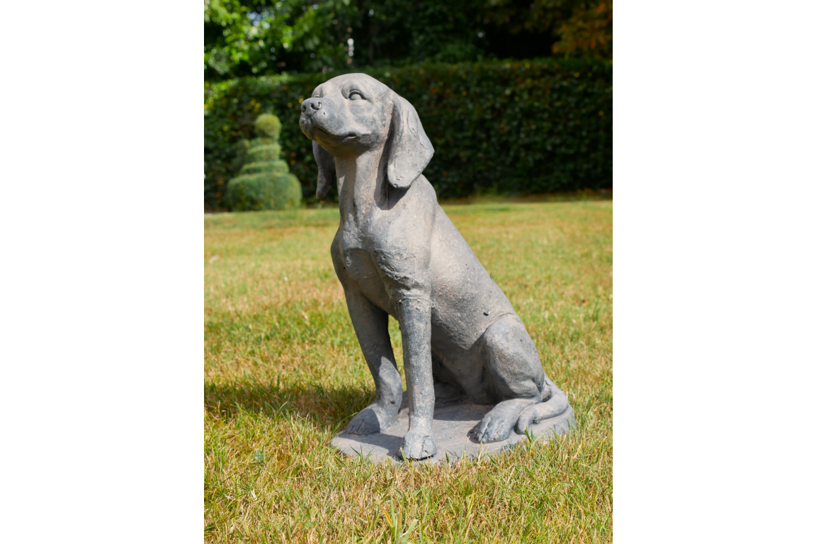Sitting Dog