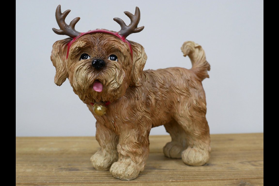 Dog With Antler Ears